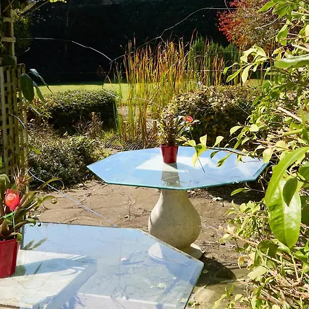 شقة 2 Bedroom - Free Parking & Garden Kilmessan